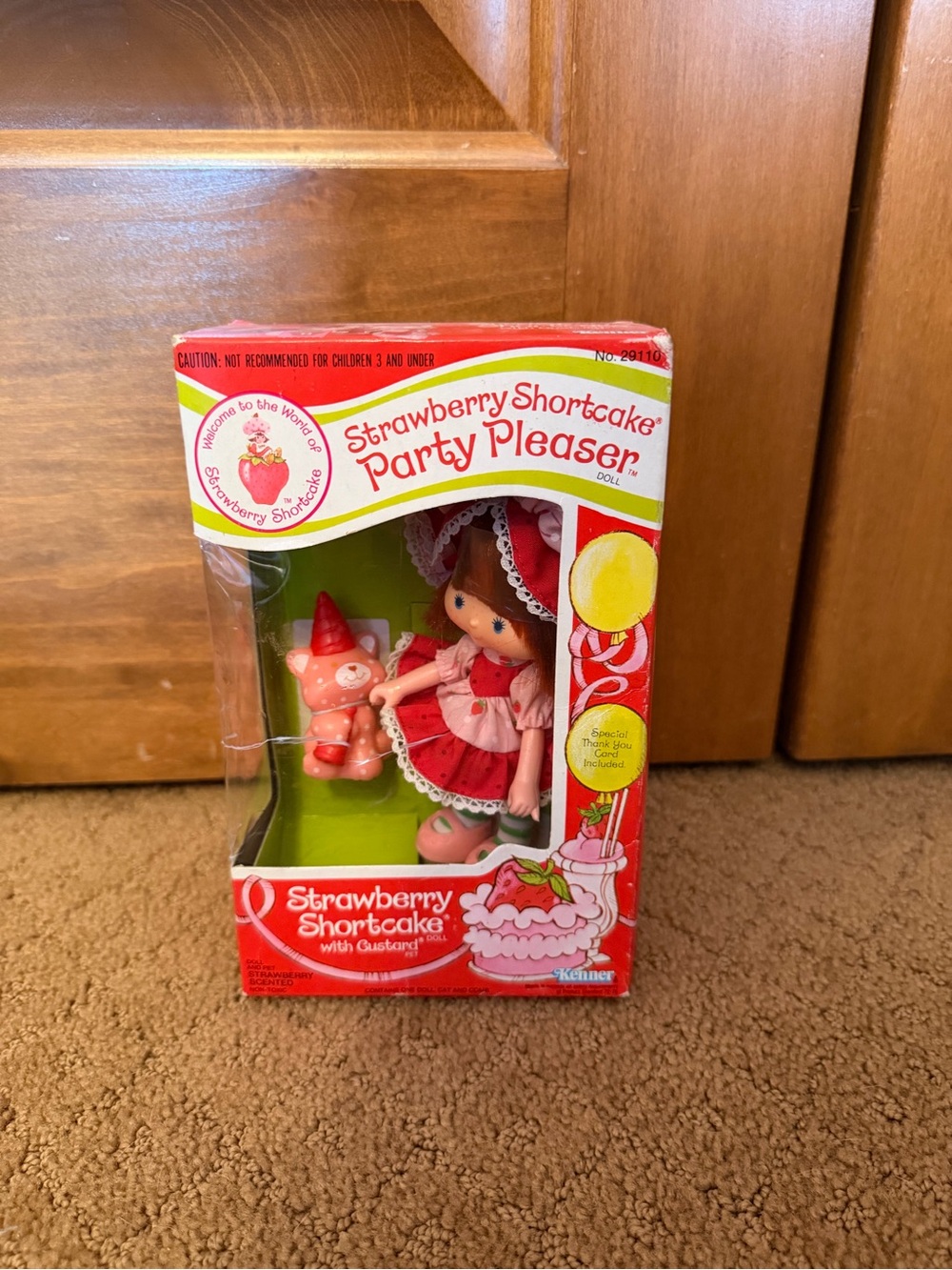 Strawberry Shortcake Party Pleaser 1983 With Custard Cat New in Box READ